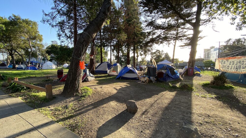 Калифорнийский университет в Беркли огородил местный парк баррикадами