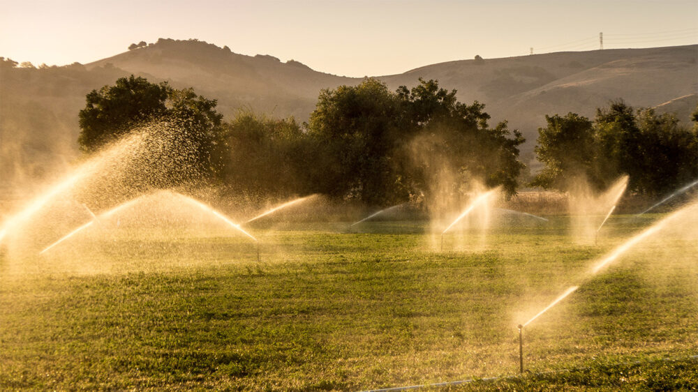 В Калифорнии обнародовали план по экономии воды до 2040 года