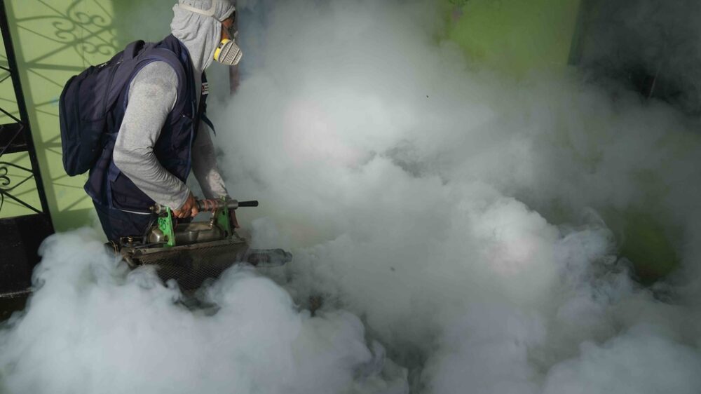 Лихорадка денге угрожает США. Что это такое и как себя обезопасить?