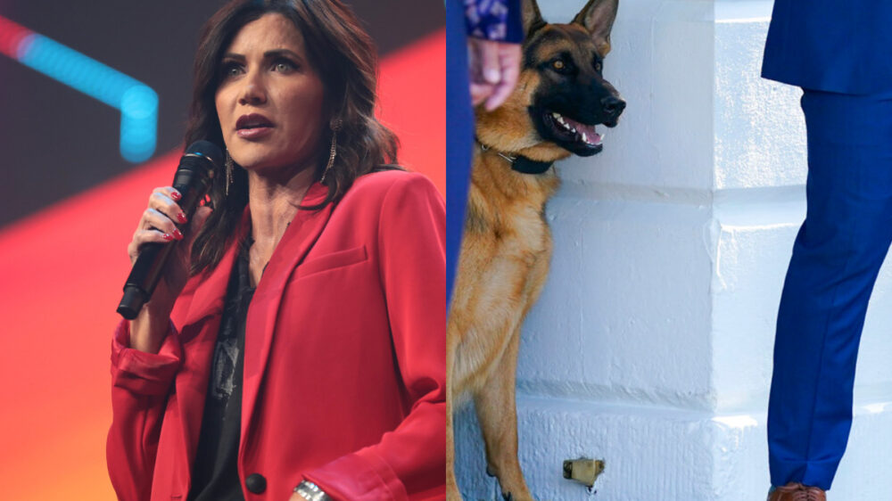 Убившая свою собаку соратница Трампа Ноэм предложила сделать то же с псом Байдена