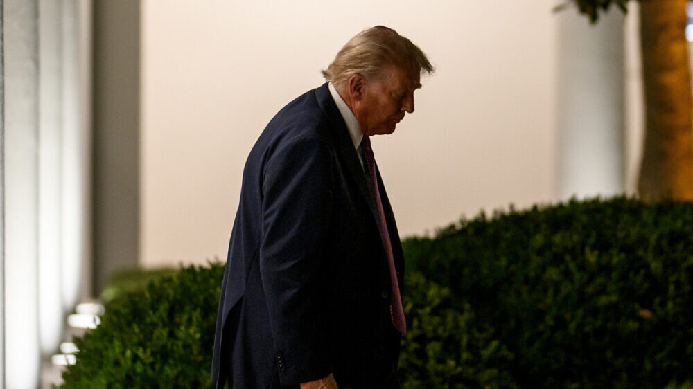 Эпштейну от «Дональда» и секс животных: что не так с подписью Трампа в скандальном альбоме и что еще там нашли