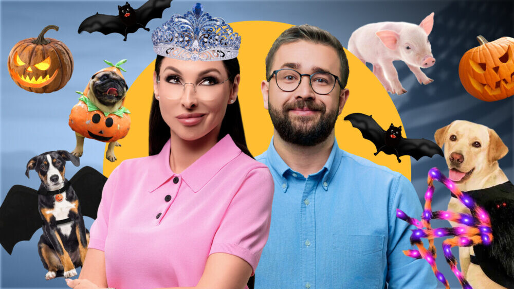 RTVI US исполнилось 25 лет! Собачий парад на Хэллоуин. Поросенок попал в Книгу рекордов Гиннесса