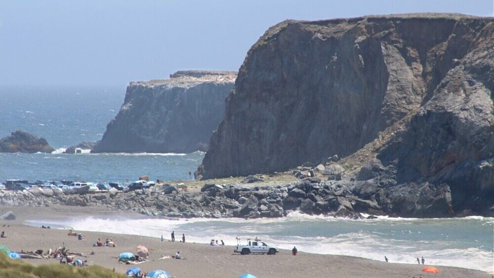 Нападение акулы в Калифорнии: серфер пострадал у популярного пляжа на фоне активности детенышей