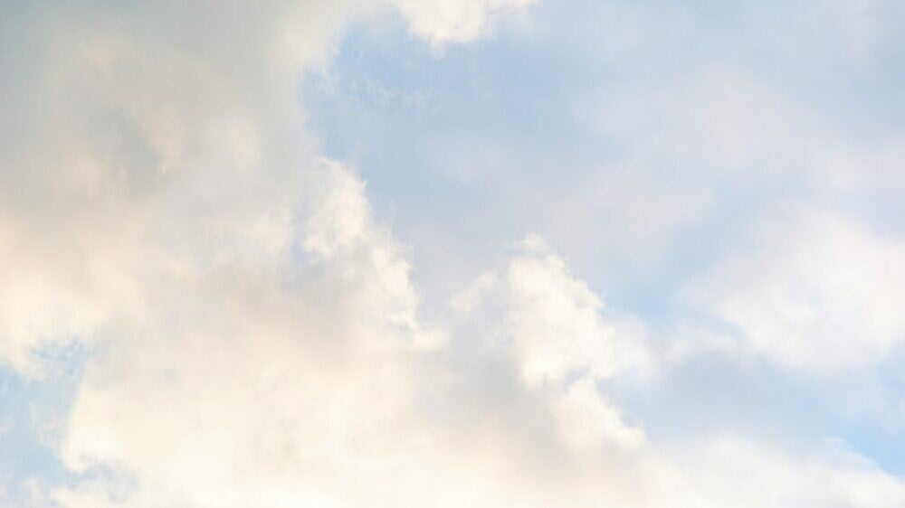 Pantone объявил цвет 2026 года: что это за организация и почему ее выбор важен?